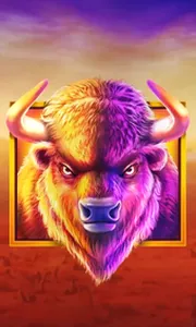 Buffalo King